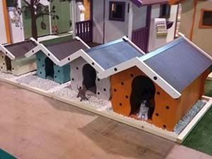 CUCCE PER CANI IN LEGNO
